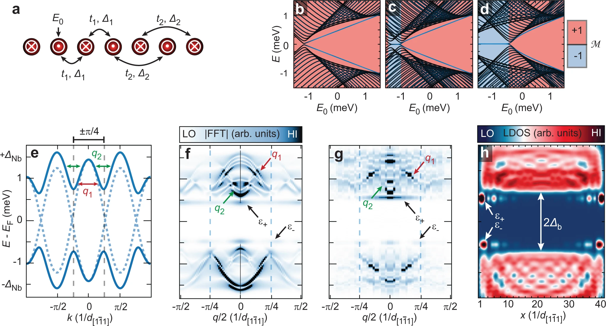 Probing the topologically trivial nature of end states in antiferromagnetic atomic chains on superconductors