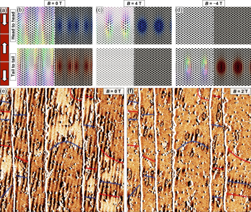 Topological Meron-Antimeron Domain Walls and Skyrmions in a Low-Symmetry System