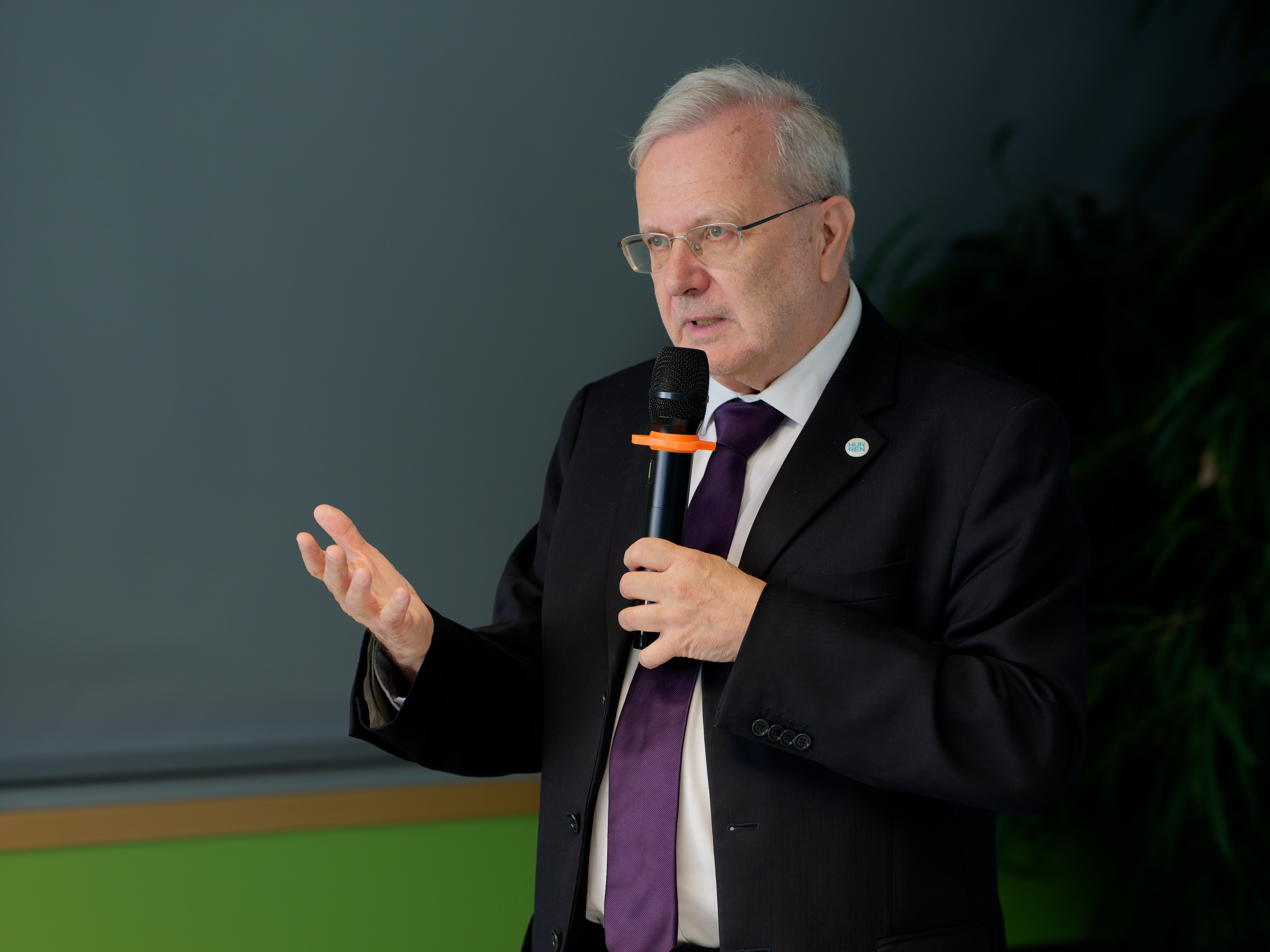 gulyás balázs