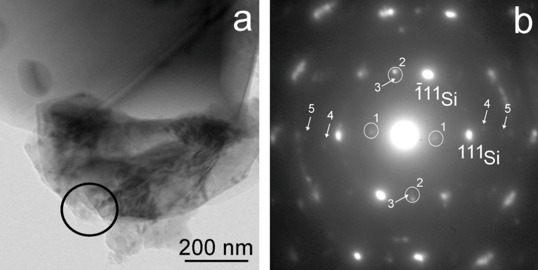 Fig3
