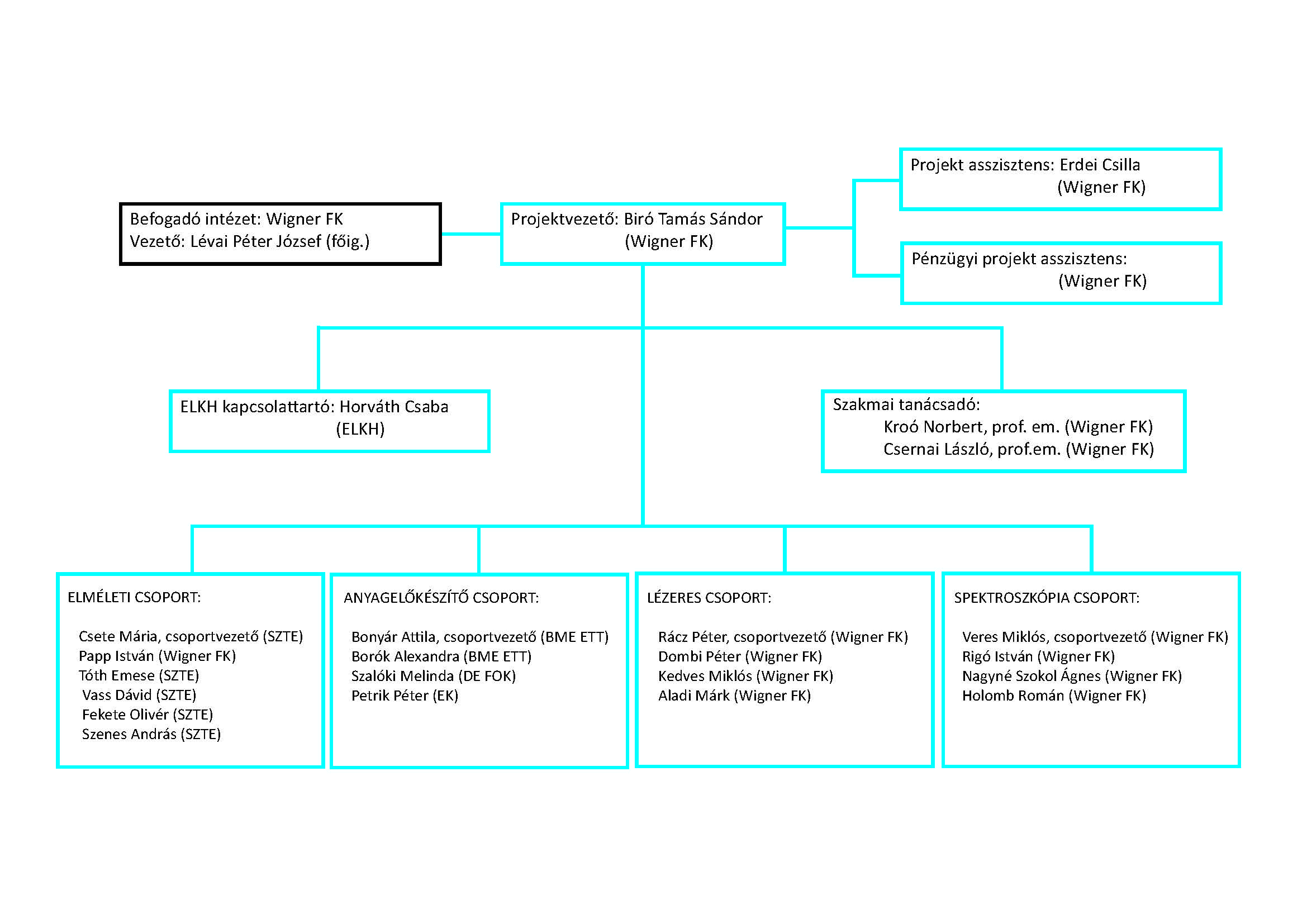 organogram