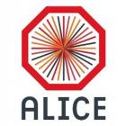 CERN ALICE